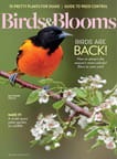 Birds & Blooms - Digital
