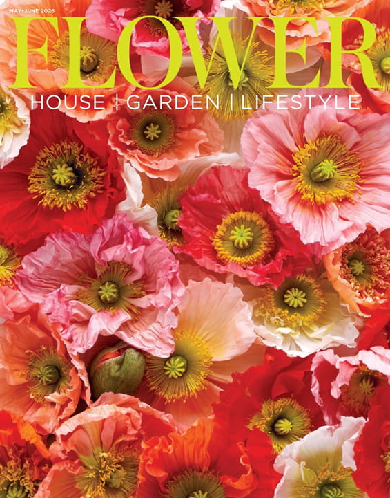 Flower Magazine